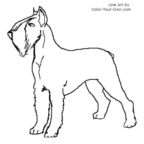 Giant Schnauzer Terrier Coloring Page