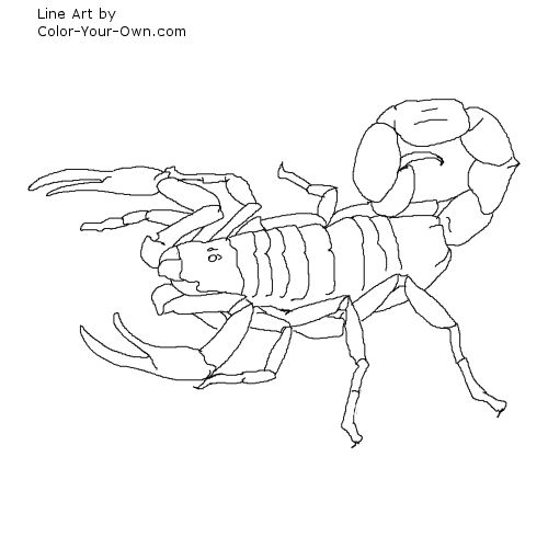 35 Mortal Kombat Scorpion Coloring Pages - Free Printable Coloring Pages