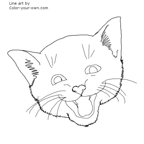 cat meowing drawing
