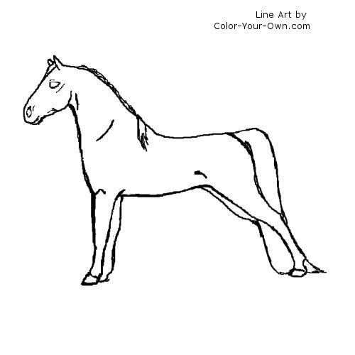 Morgan Horse Coloring Page