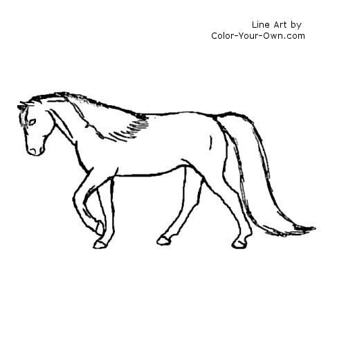 Pleasure type Morgan Horse Coloring Page
