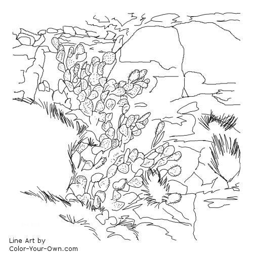Download Prickly Pear cactus and Rocks Southwestern Art Coloring Page