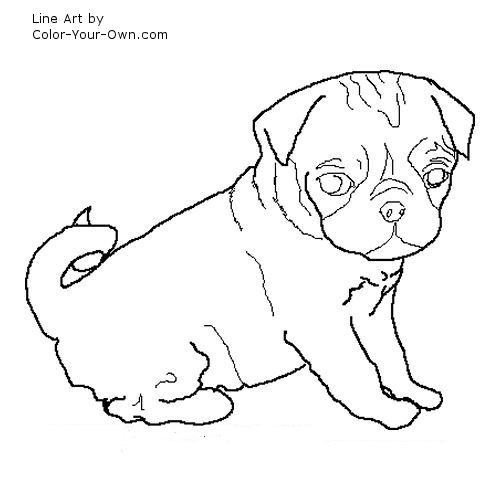 coloring pages of pugs