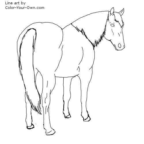 American Quarter Horse Line Art