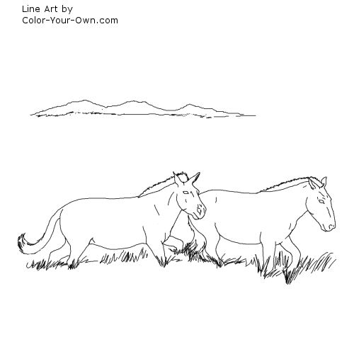 Download Przewalski Horse Coloring Page