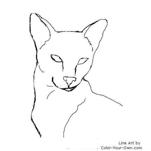 Download Siamese Cat Headstudy Coloring Page