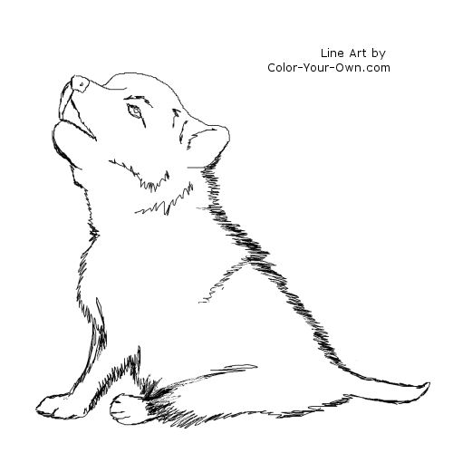 Wolf Puppy Line Art