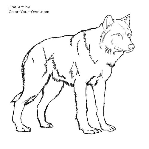 Wolf Standing Line Art