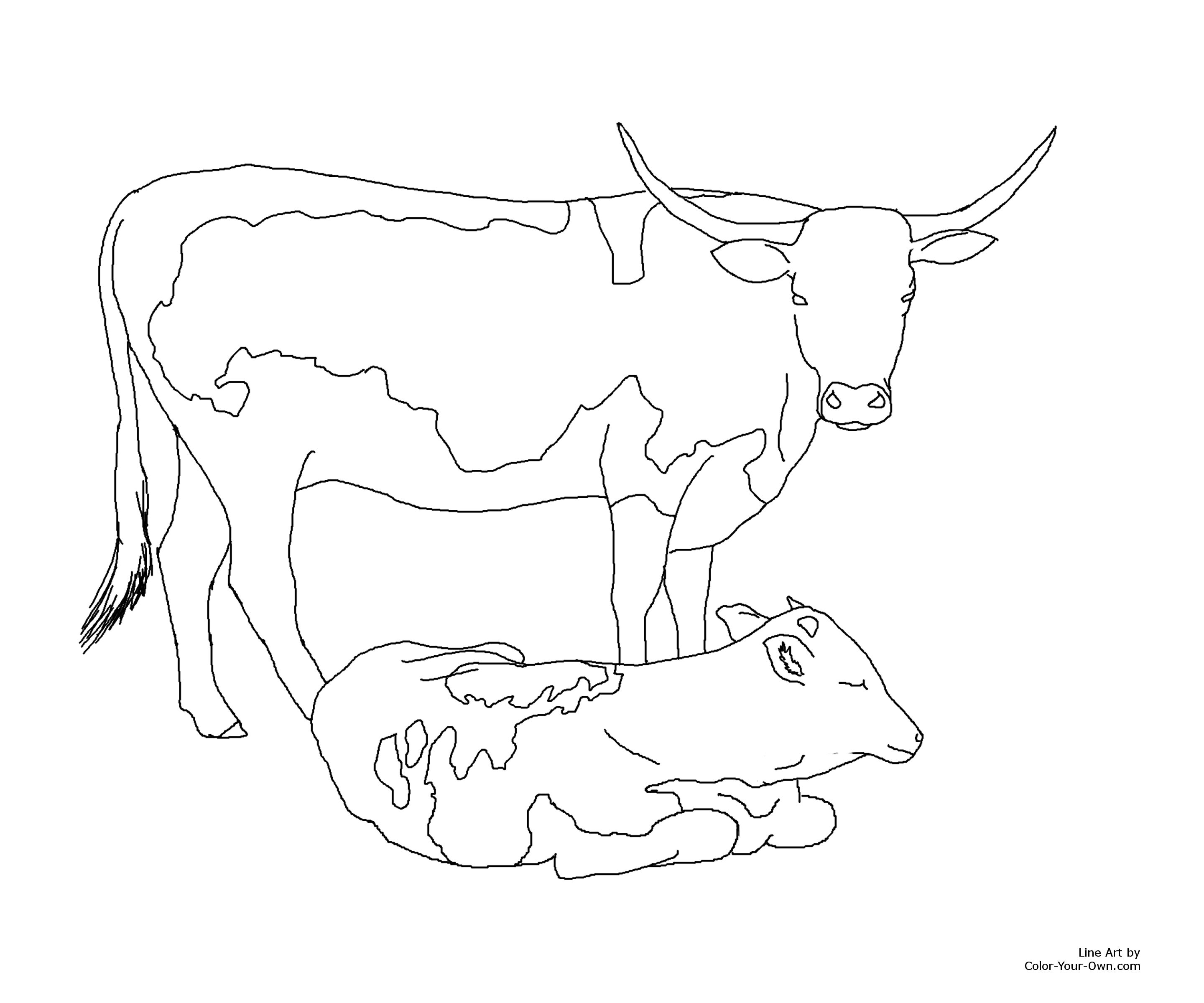 Longhorn Cow and Calf Coloring Page