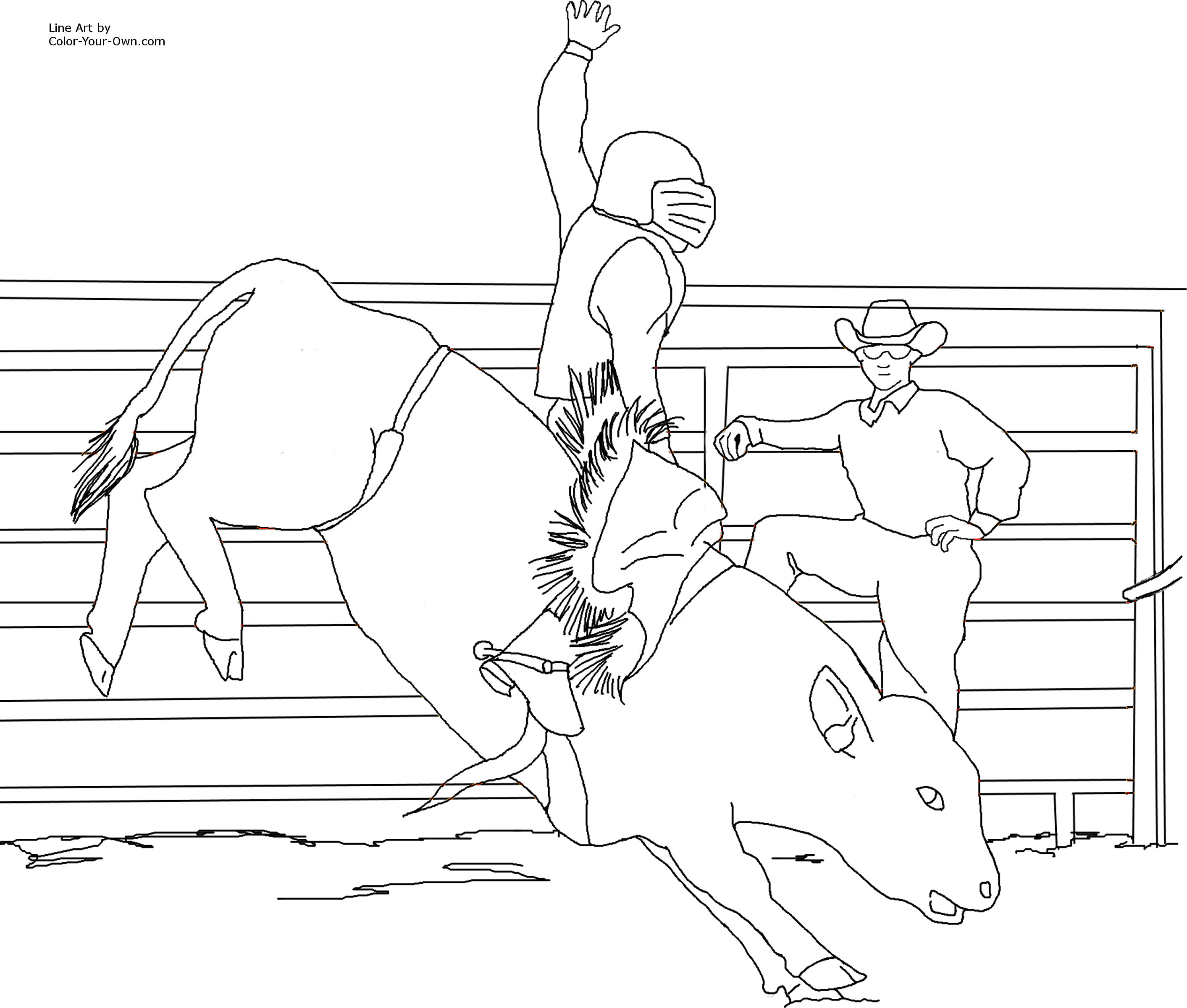 Miniature Bucking Bull Coloring Page