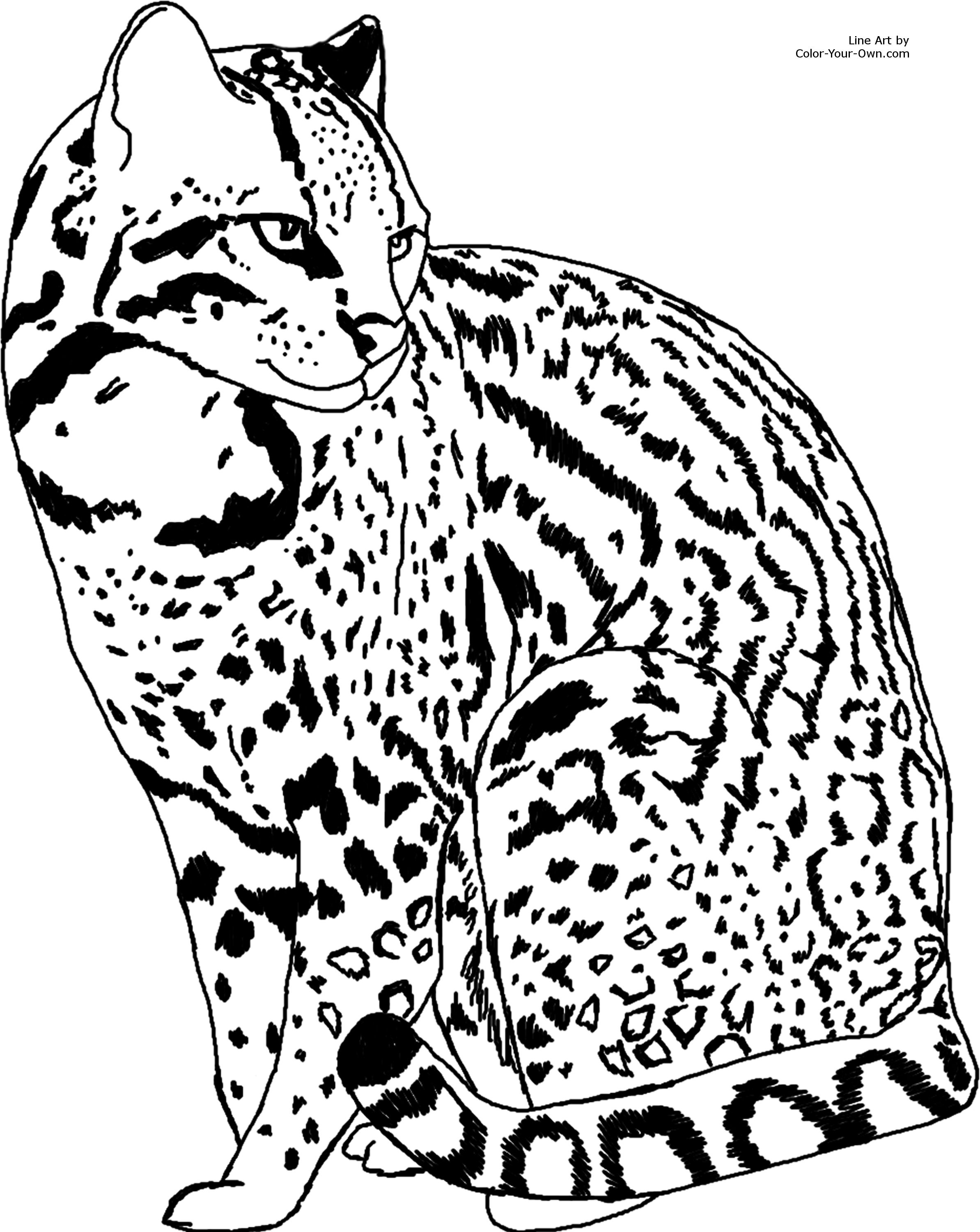 Download Ocelot Coloring Page